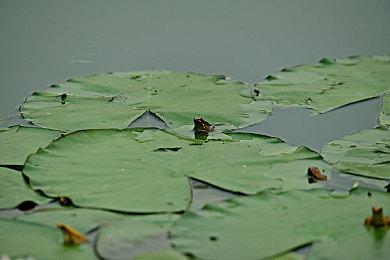 Xbox联合创始人：如今的Xbox其实只是微软游戏部